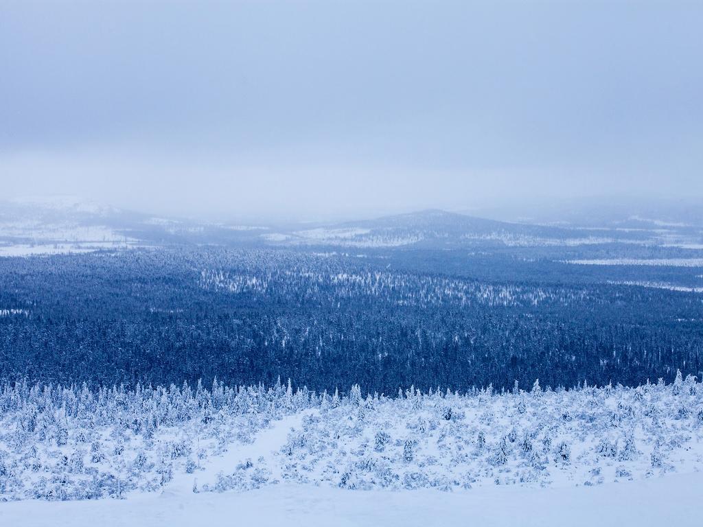 Hotel Naruskan Helmi Exteriér fotografie